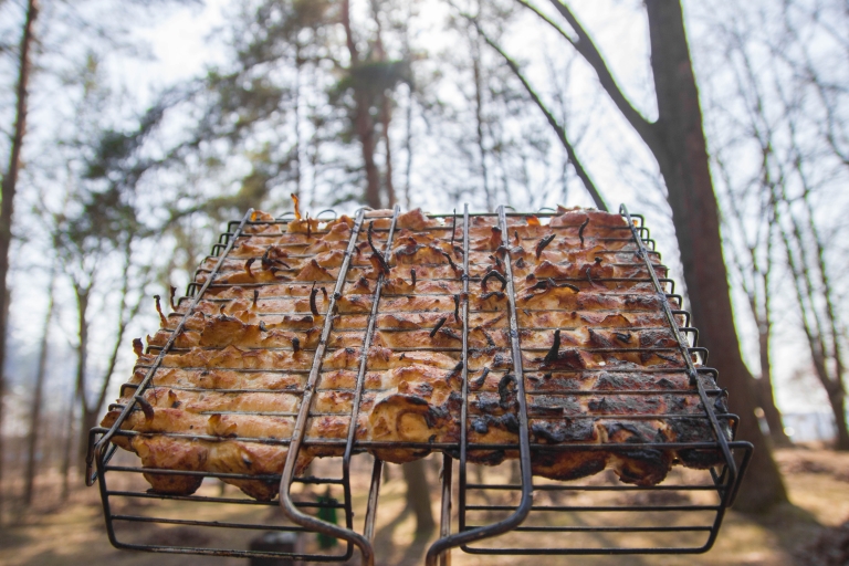baked-chicken-meat-barbecue-grill-nature